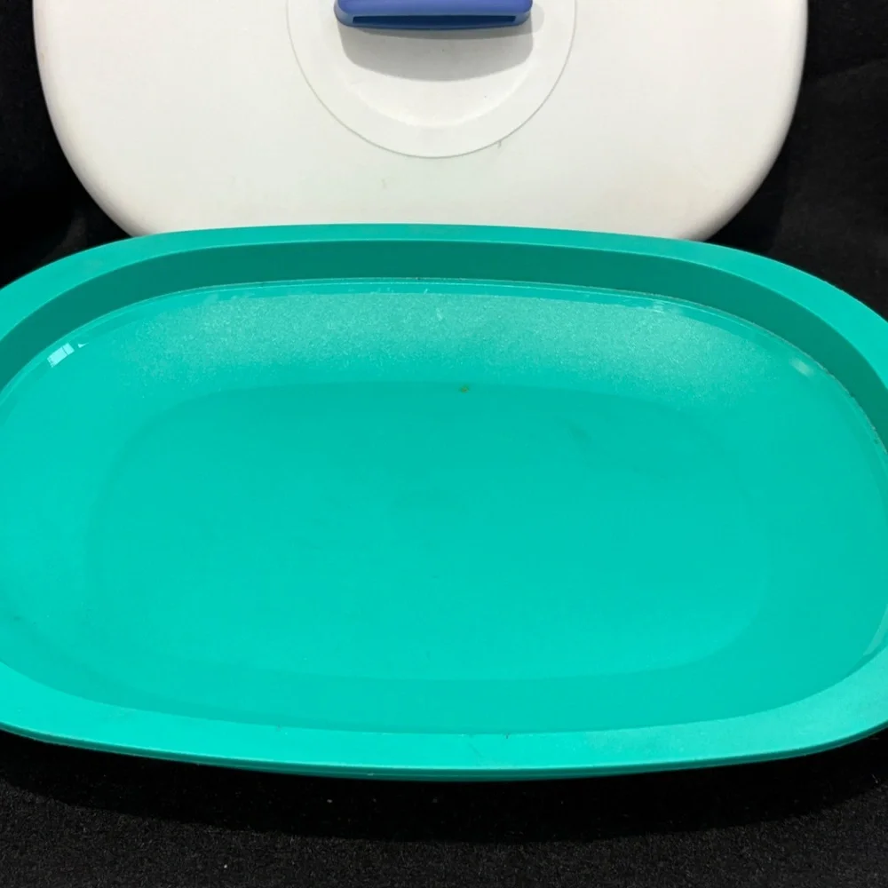 TUPPERWARE Teal Shallow Oval Dish 1 3/4 Cups Lid #3184A-3 & Bottom #3190A-2